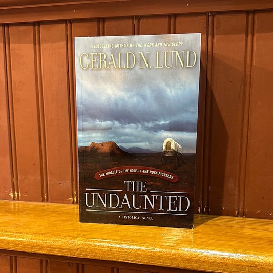 Book Undaunted Soft Cover